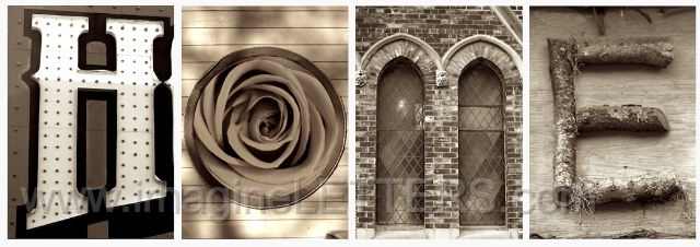 Wall_Art_Alphabet_Photography_Art_ 831.jpg